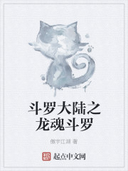  斗罗大陆之龙魂斗罗